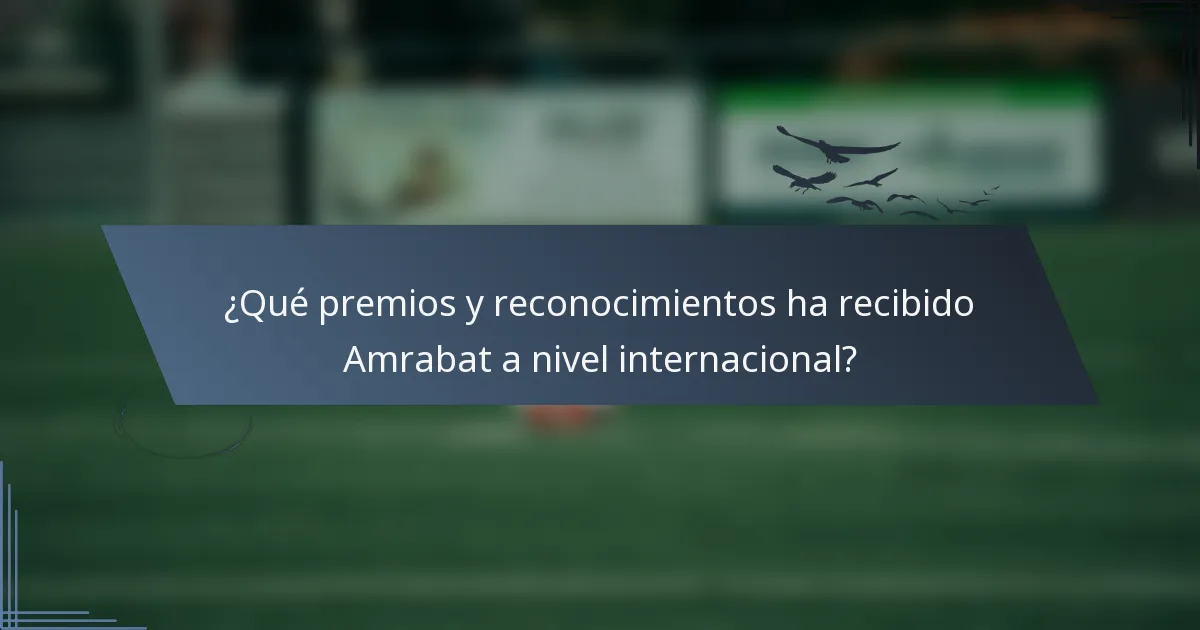 ¿Qué premios y reconocimientos ha recibido Amrabat a nivel internacional?